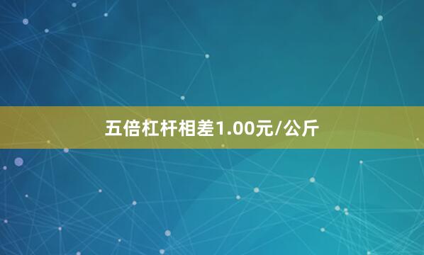 五倍杠杆相差1.00元/公斤